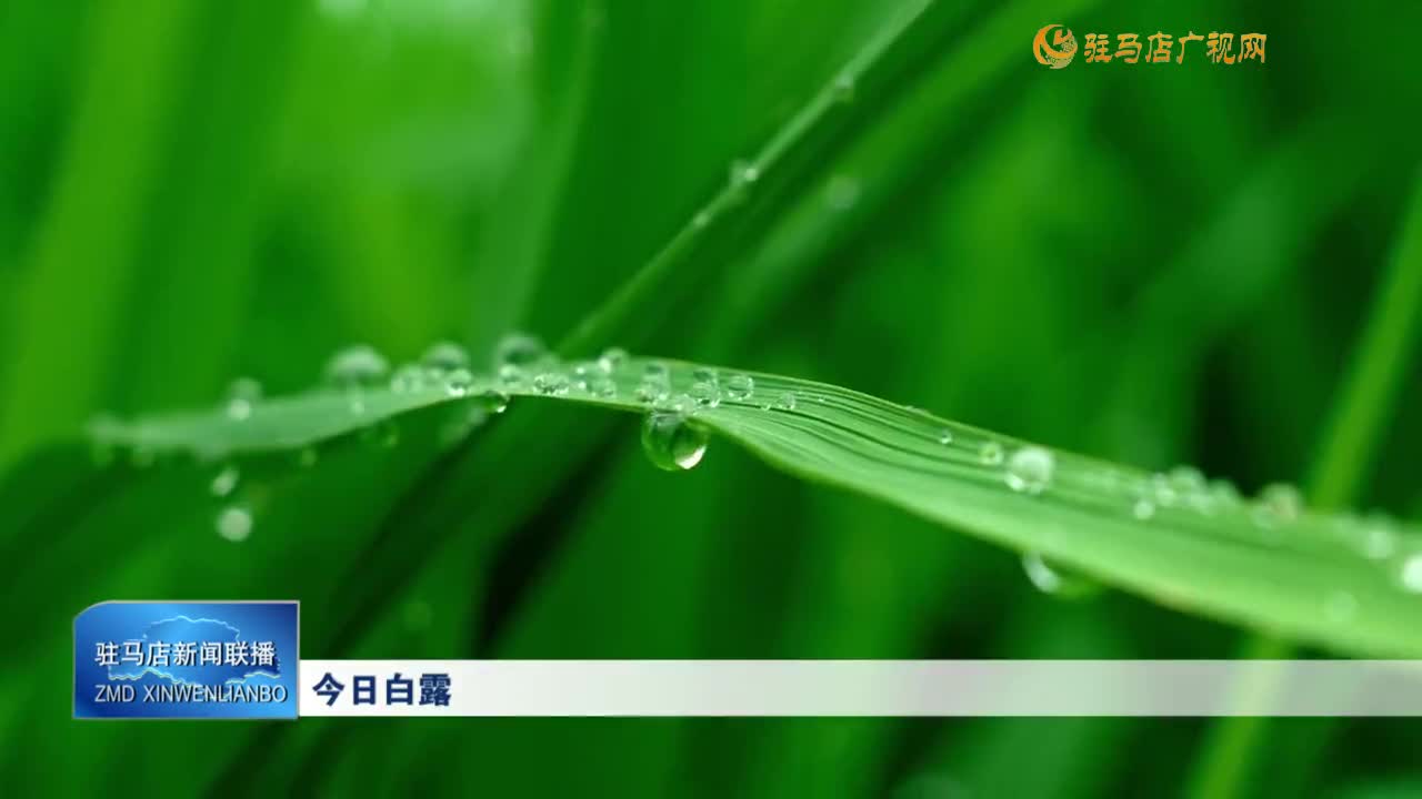 今日白露