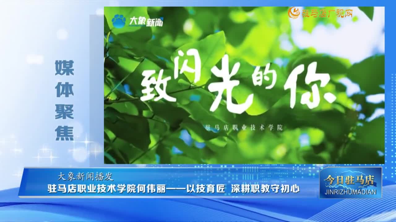 【媒体聚焦】驻马店职业技术学院何伟丽——以技育匠 深耕职教守初心 ......
