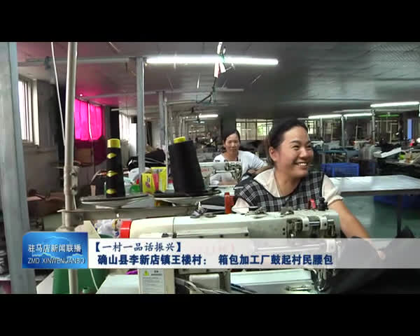 确山县李新店镇王楼村： 箱包加工厂鼓起村民腰包
