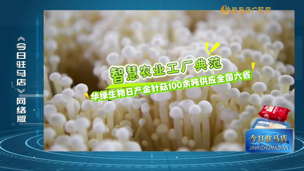 2025.09.15——《今日驻马店》网络版