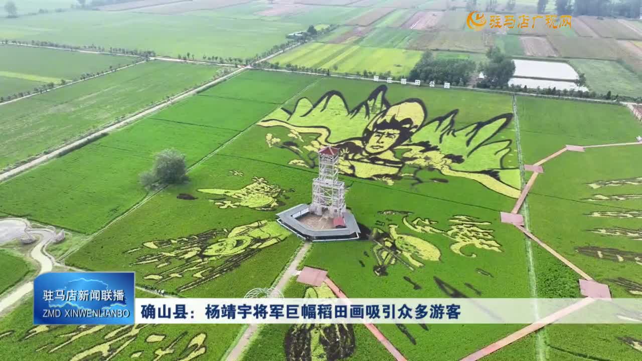 確山縣：楊靖宇將軍巨幅稻田畫吸引眾多游客