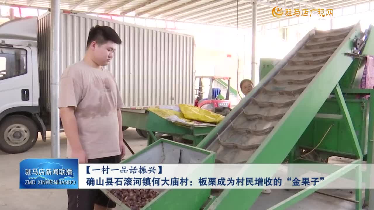 確山縣石滾河鎮(zhèn)何大廟村：板栗成為村民增收的“金果子”