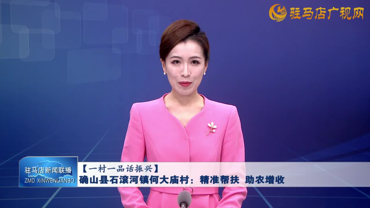 【一村一品话振兴】确山县石滚河镇何大庙村：精准帮扶 助农增收