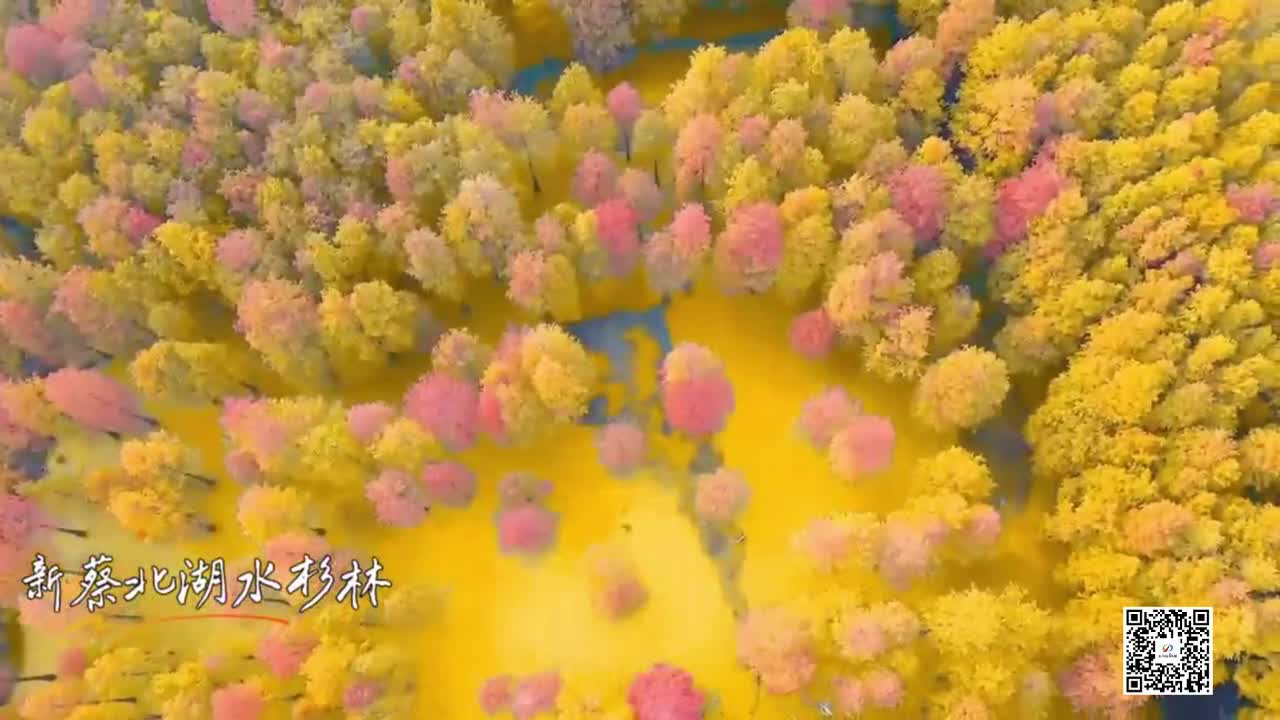 秋意渐入驻马店 一城风物，半城秋