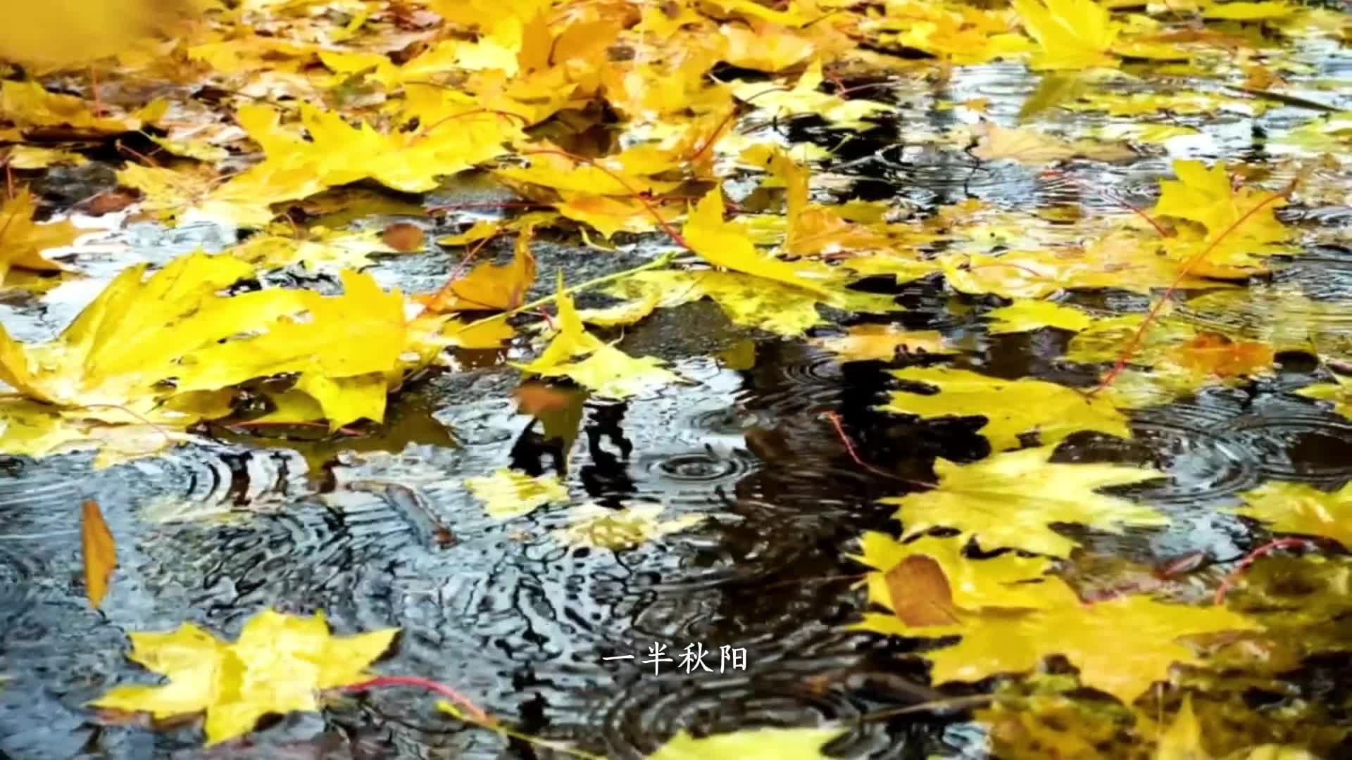 秋分