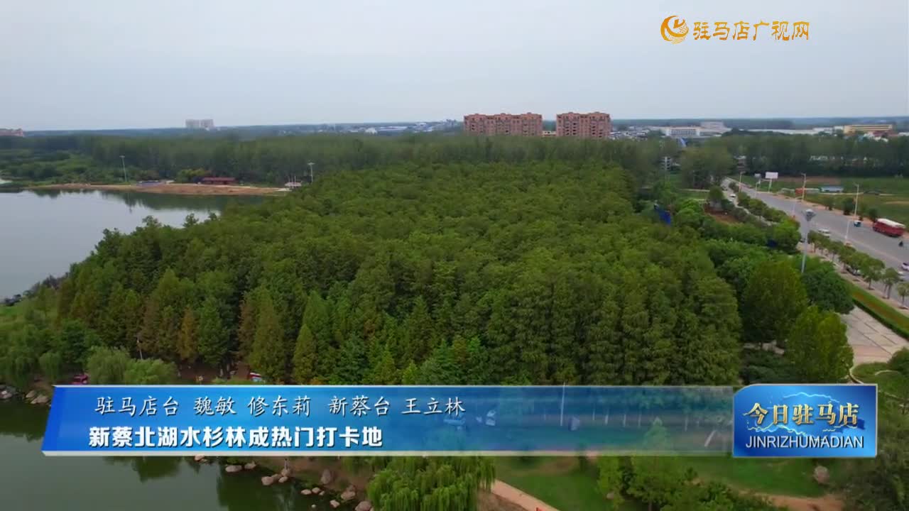新蔡北湖水杉林成热门打卡地