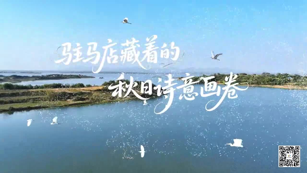秋染李朝京：駐馬店藏著的秋日詩意畫卷