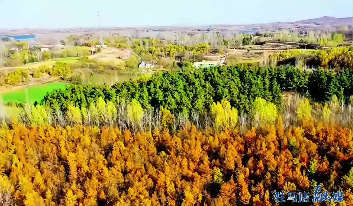 以歌為媒邀客來 《相約泌陽》解鎖泌陽新“聲”名片
