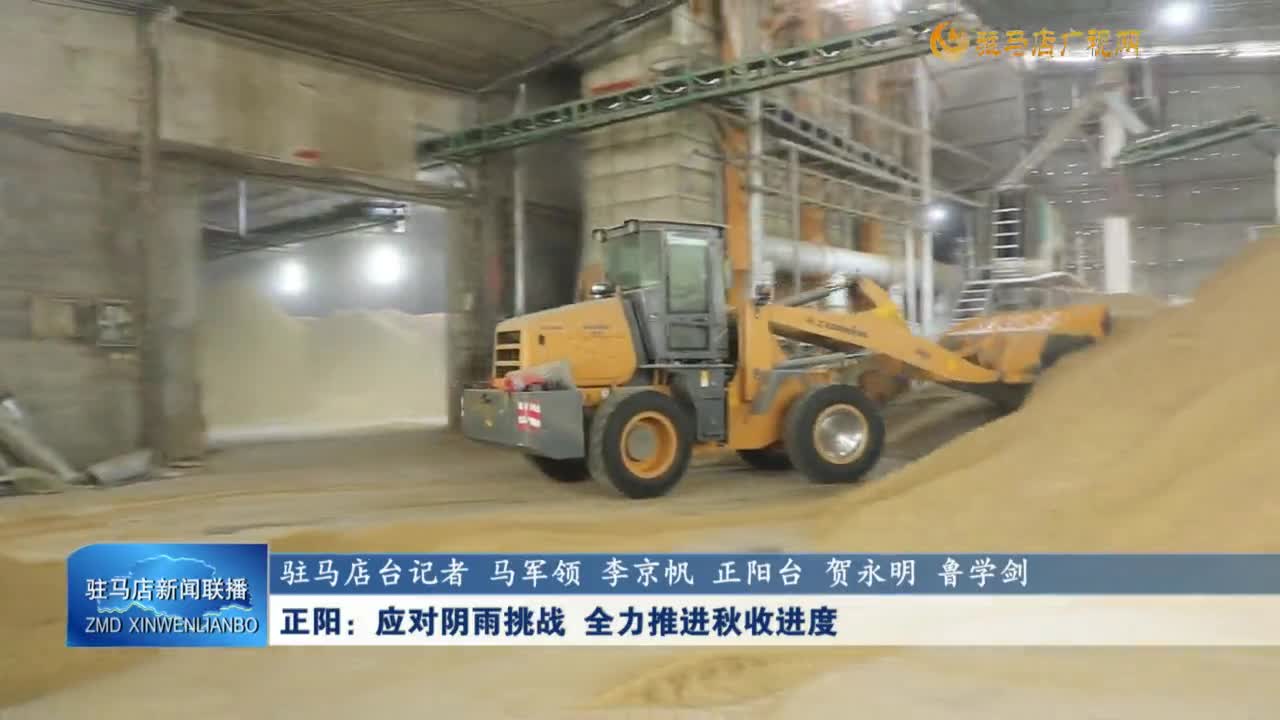 正阳：应对阴雨挑战 全力推进秋收进度