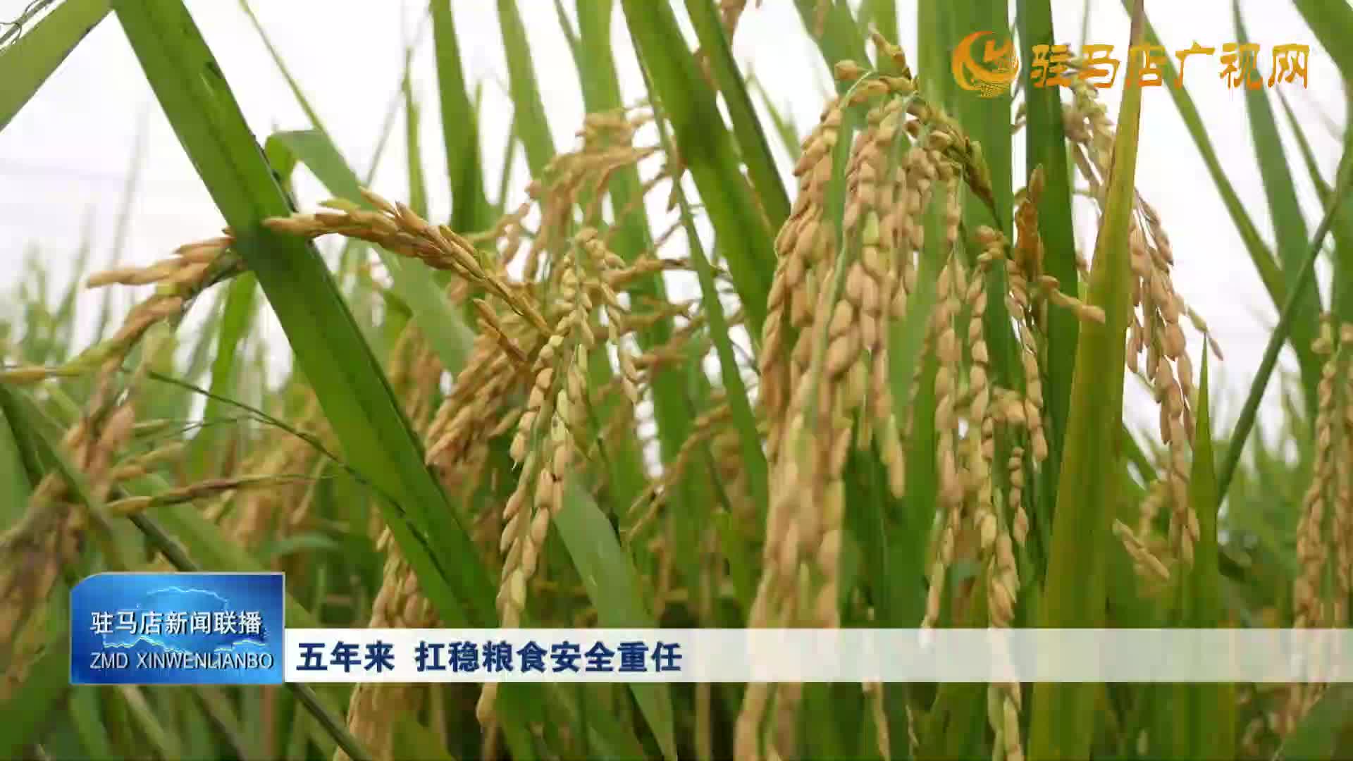 驻马店新闻联播《2025-10-05》