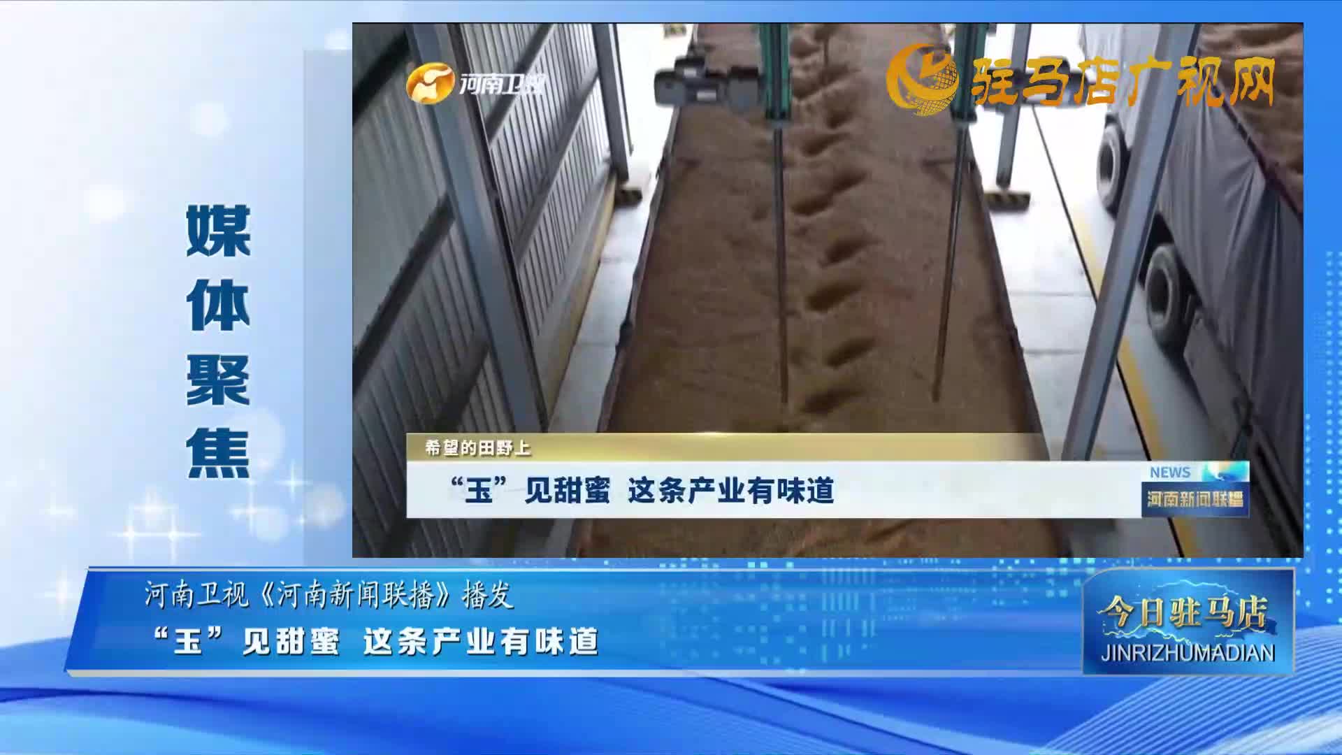 【媒體聚焦】“玉”見甜蜜 這條產(chǎn)業(yè)有味道丨希望的田野上