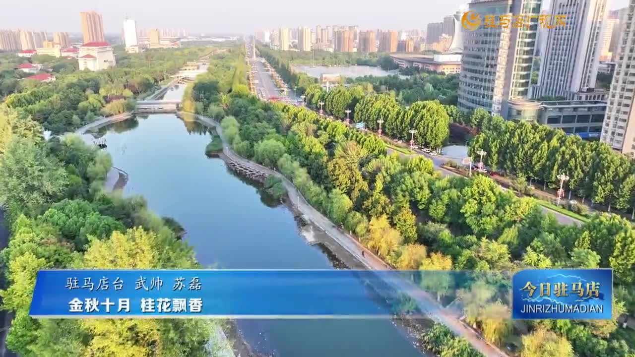 金秋十月 桂花飘香