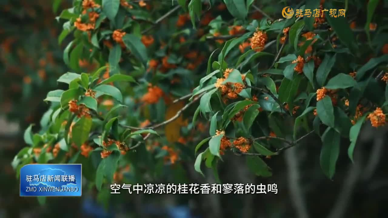 今日寒露