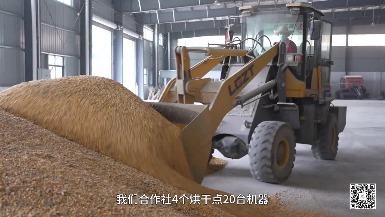 驻马店：科学调度 保障秋粮“抢收抢烘”