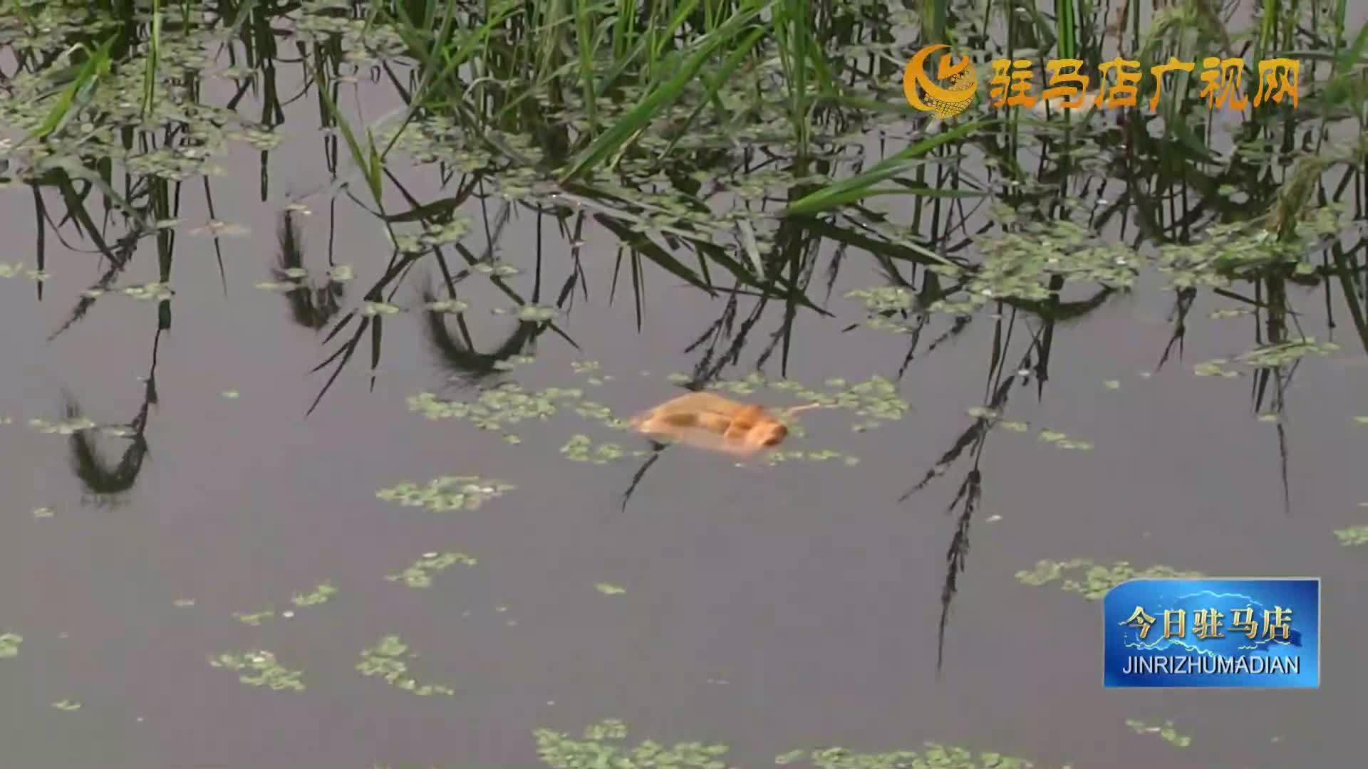 國慶出游須文明游玩 莫讓垃圾成“風(fēng)景”