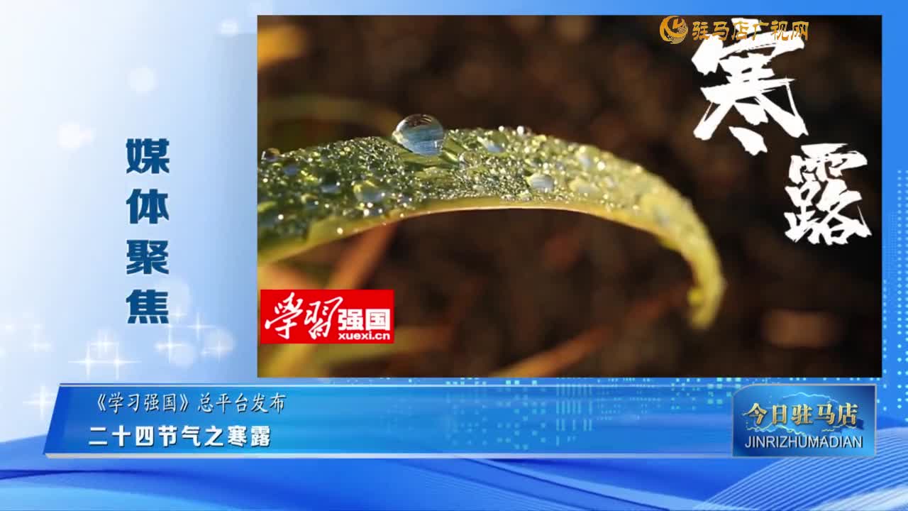 【媒体聚焦】二十四节气之寒露......
