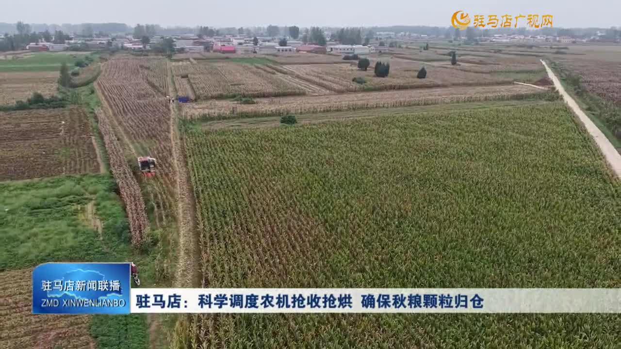 駐馬店：科學(xué)調(diào)度農(nóng)機(jī)搶收搶烘  確保秋糧顆粒歸倉(cāng)