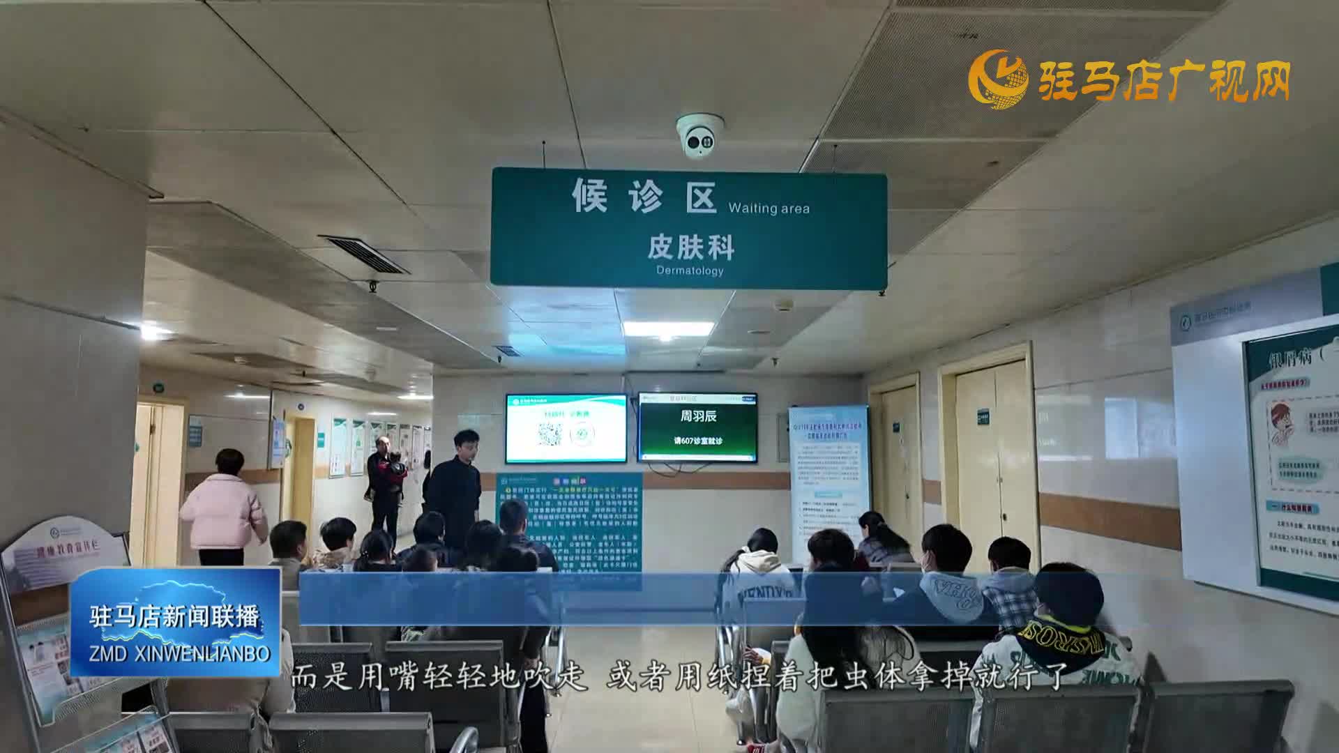 隱翅蟲“隱形傷人”需警惕 皮膚科專家教您如何防治