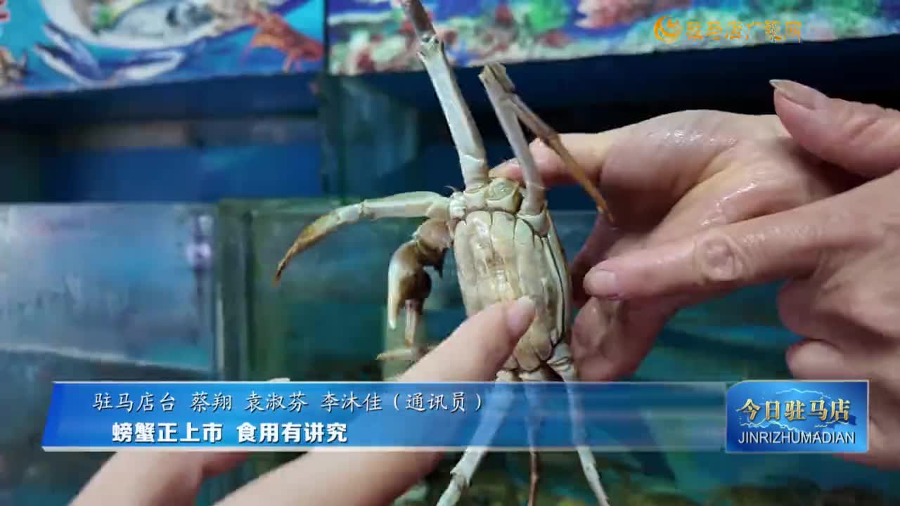 螃蟹正上市 食用有讲究