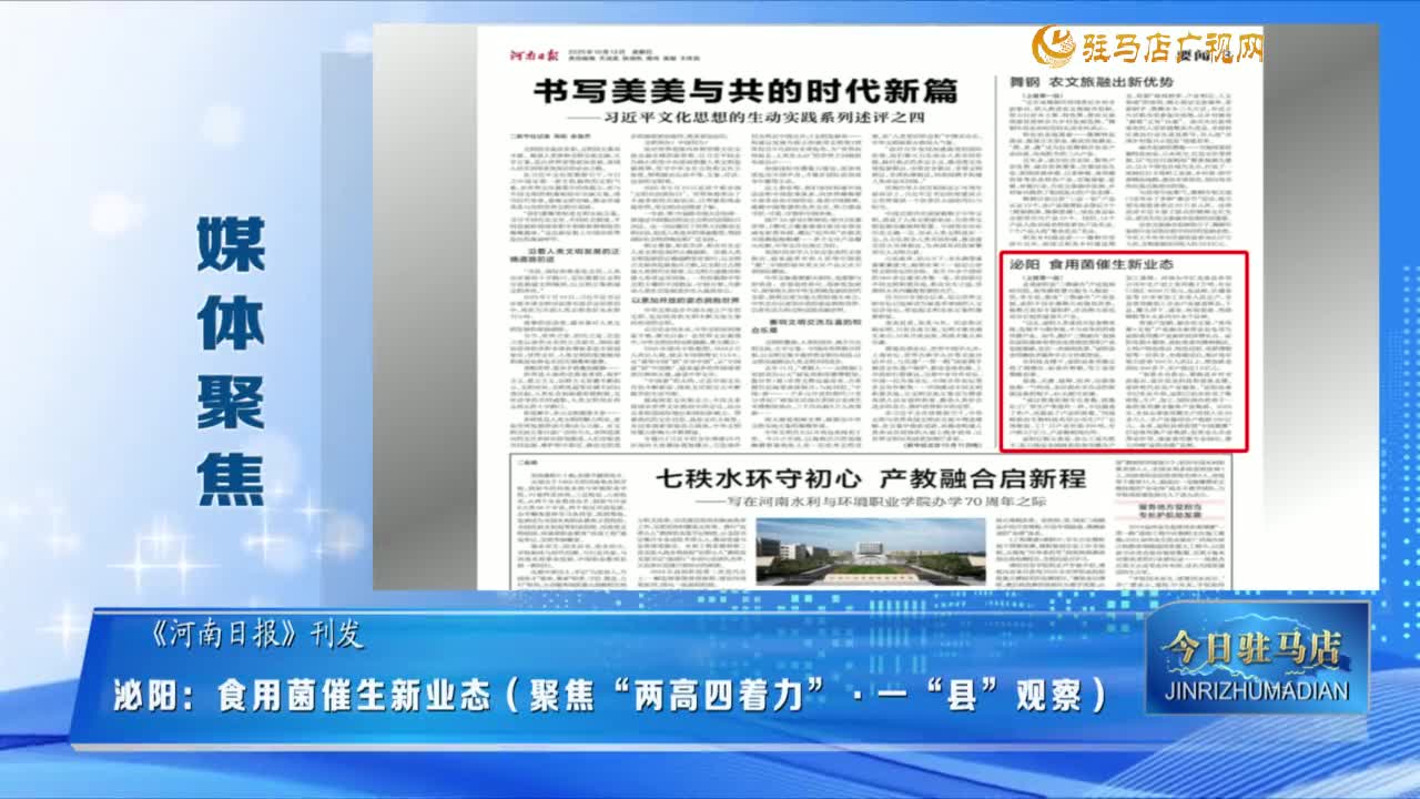 【媒體聚焦】泌陽：食用菌催生新業(yè)態(tài)（聚焦“兩高四著力”·一“縣”觀察）......