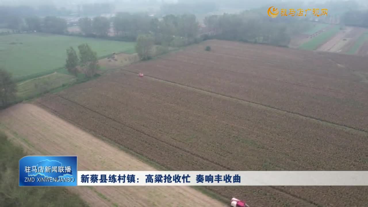 新蔡縣練村鎮(zhèn)：高粱搶收忙 奏響豐收曲