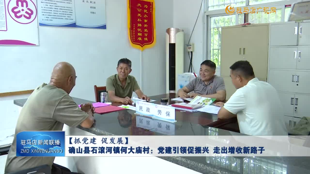 【抓党建 促发展】确山县石滚河镇何大庙村：党建引领促振兴 走出增收新路子