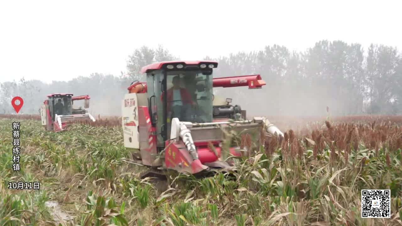 驻马店市全力以赴“抢收抢烘”，确保秋粮颗粒归仓