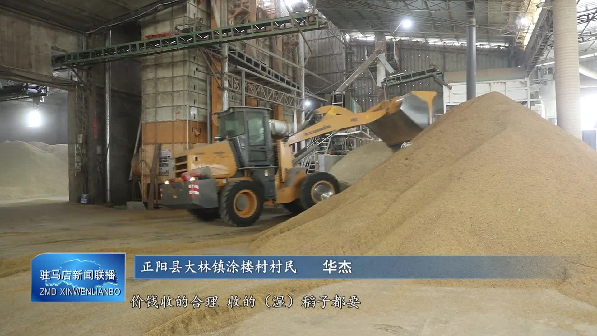 正阳：应对阴雨挑战 全力推进秋收进度