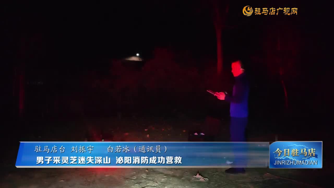 男子采靈芝迷失深山 泌陽消防成功營救