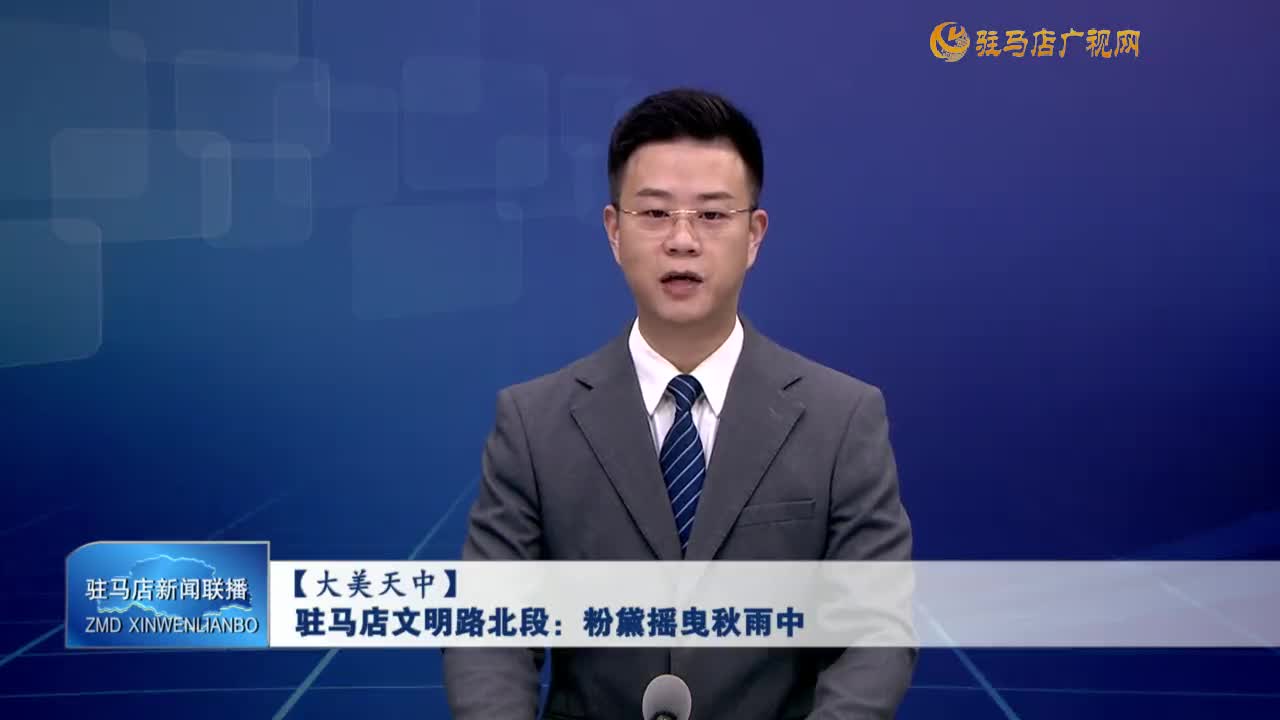 【大美天中】駐馬店文明路北段：粉黛搖曳秋雨中