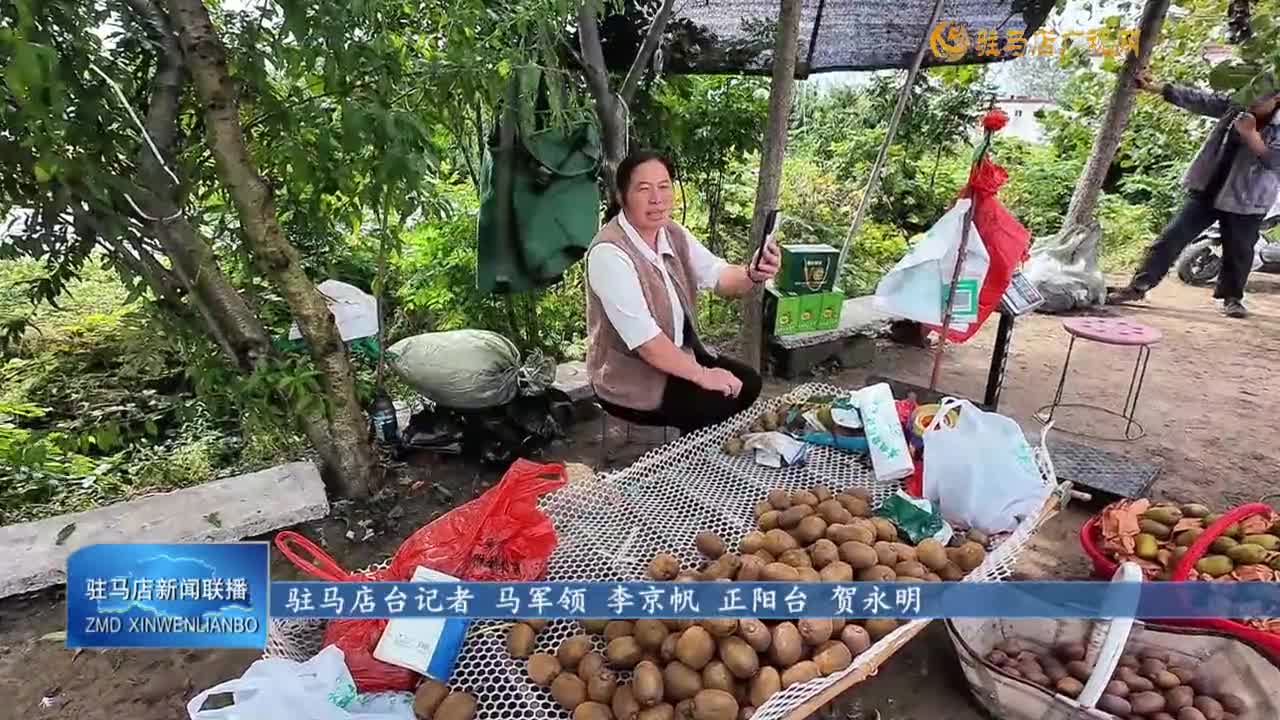 正陽縣閭河鄉(xiāng)大吳村：獼猴桃種植鼓起村民錢袋子
