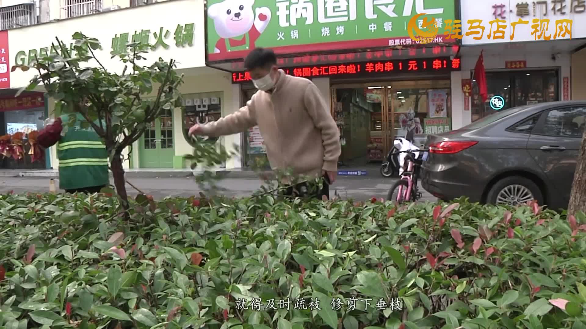 經(jīng)濟(jì)開發(fā)區(qū)城市管理事務(wù)中心：修剪綠化帶 消除出行隱患
