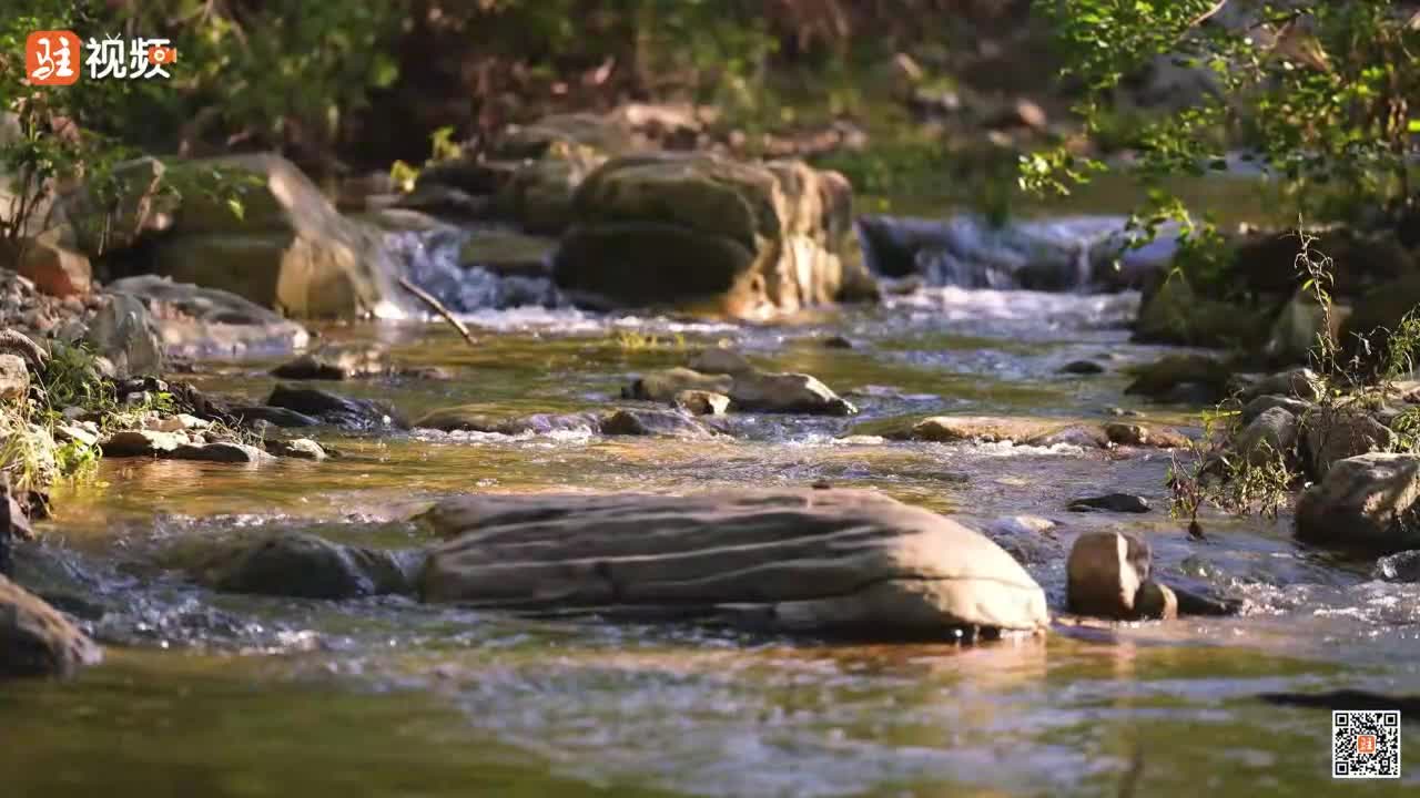 驻马店六连瀑惊艳亮相......|《今日驻马店》资讯第187期