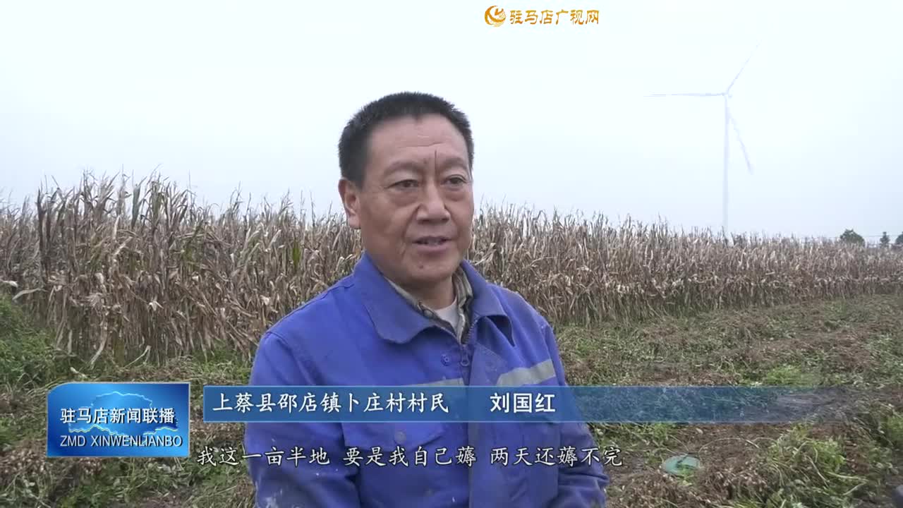 【“三秋”一線·全力以赴保秋糧】駐馬店：齊心協(xié)力搶收搶烘  全力守護群眾勞動成果