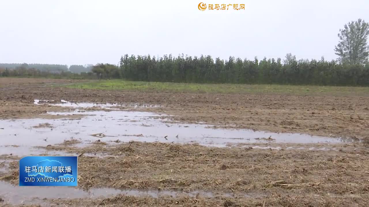 农技专家支招：因地因墒巧整地 抢时播种保丰收