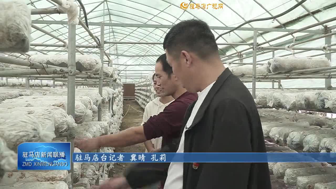 確山縣石滾河鎮(zhèn)劉樓村：黨建引領(lǐng)產(chǎn)業(yè)興