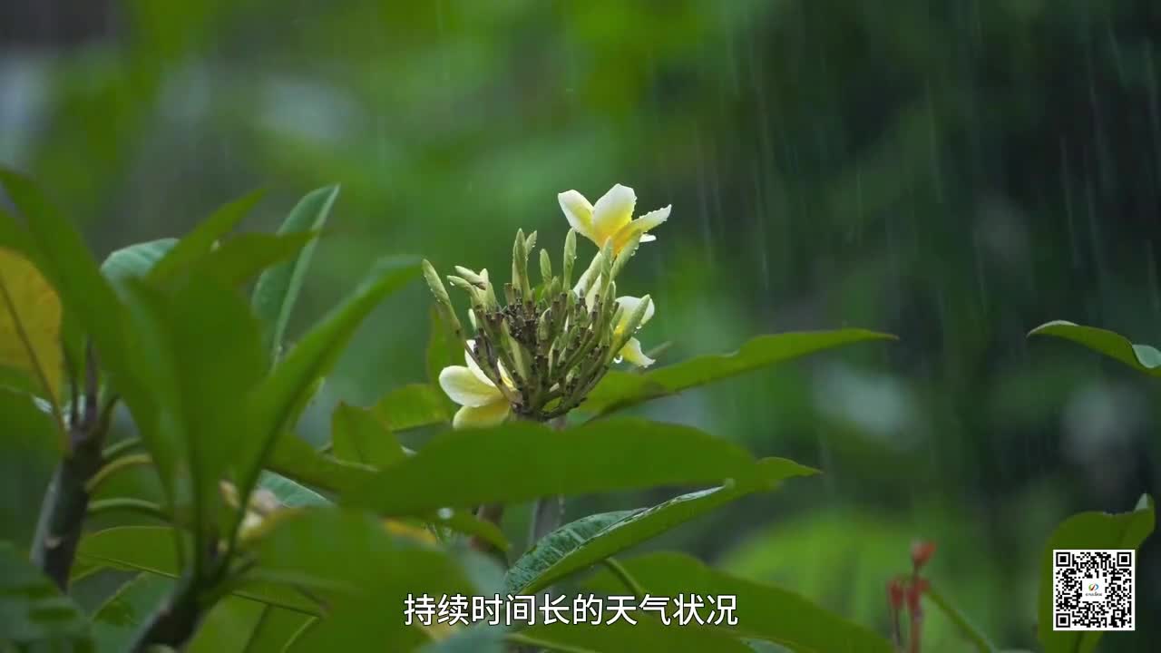 持续降雨致秋播延迟，专家给出科学指导