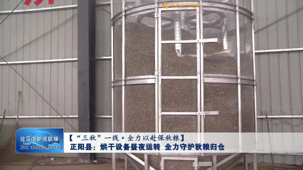 【“三秋”一线·全力以赴保秋粮】正阳县：烘干设备昼夜运转 全力守护秋粮归仓