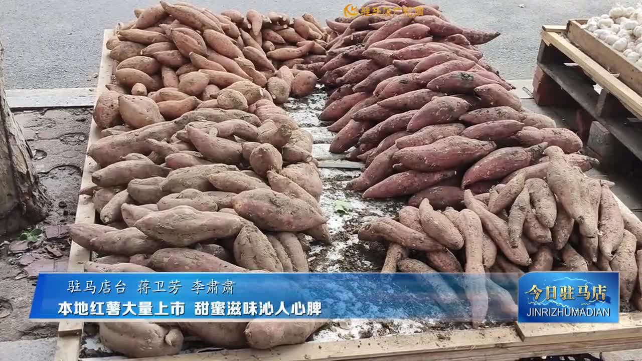 本地紅薯大量上市 甜蜜滋味沁人心脾