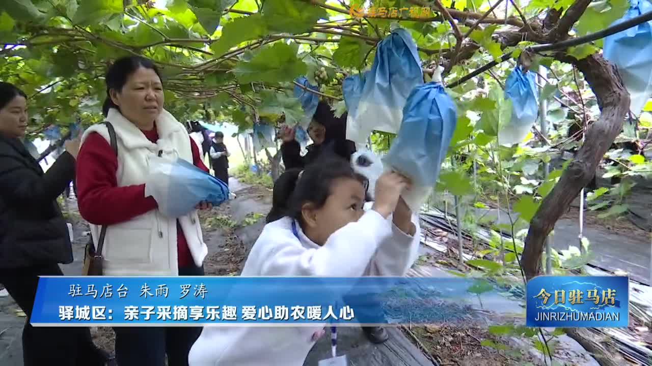 驛城區(qū)：親子采摘享樂趣?愛心助農(nóng)暖人心
