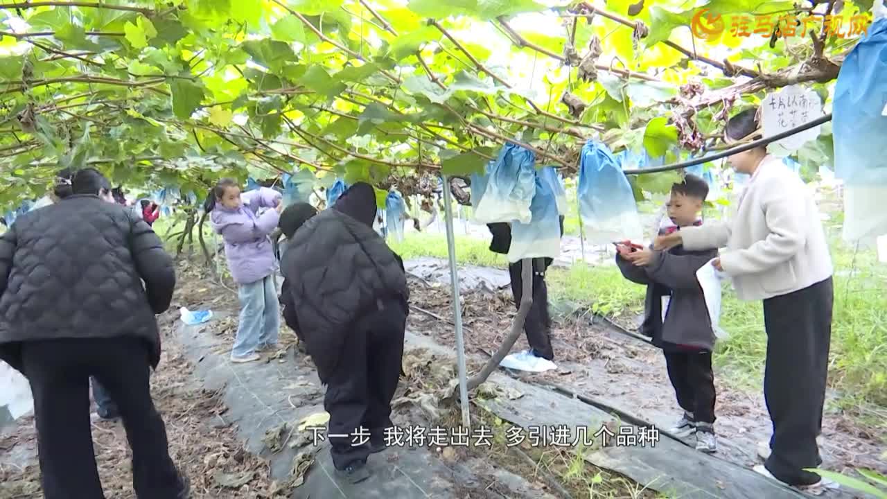 诸市镇魏庄村：亲子采摘享乐趣 爱心助农暖人心