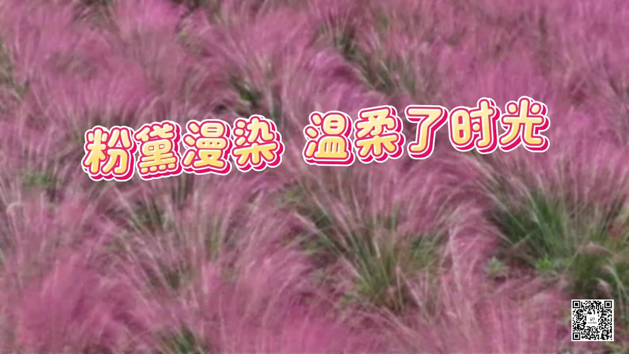 粉黛漫染，温柔了时光