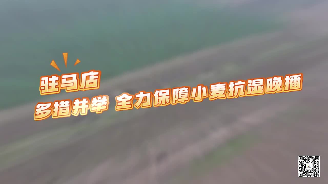 驻马店：多措并举 全力保障小麦抗湿晚播