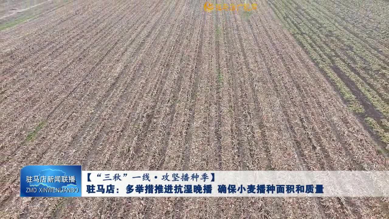 【“三秋”一線·攻堅播種季】駐馬店：多舉措推進抗?jié)裢聿?確保小麥播種面積和質量