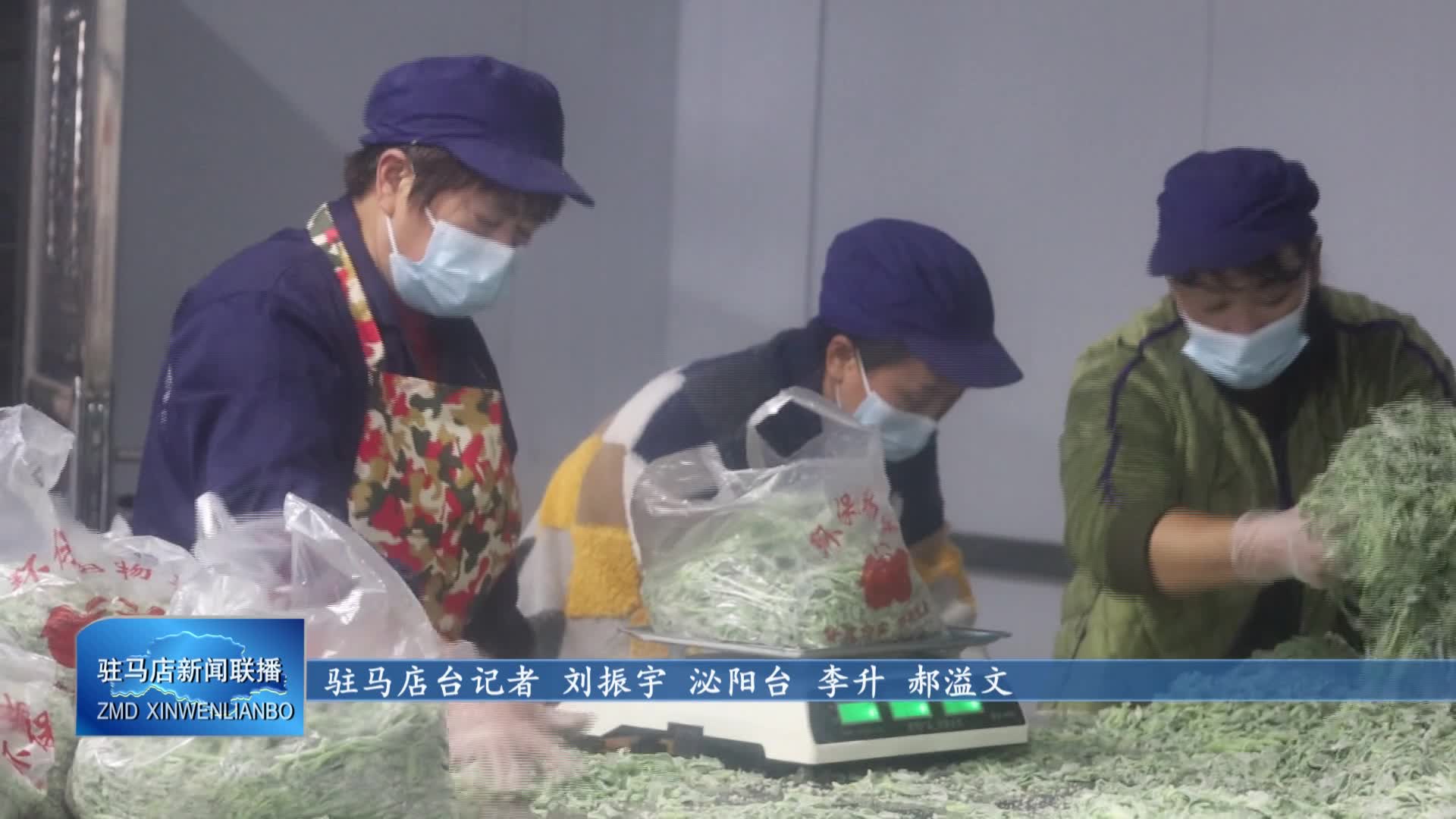 新蔡县李桥镇常老庄村：小“蒸菜”蒸出致富新希望