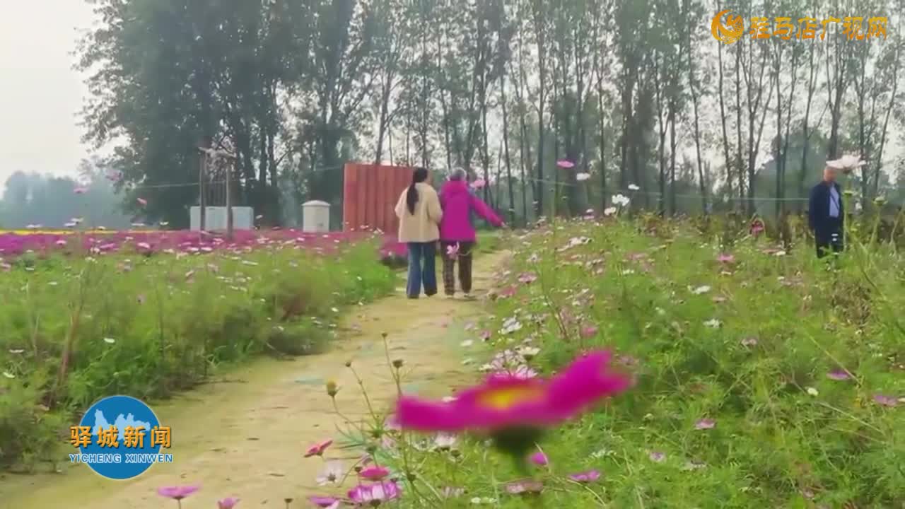 驿城区“新时代 新征程 争出彩”记者走基层采访活动走进诸市镇魏庄村