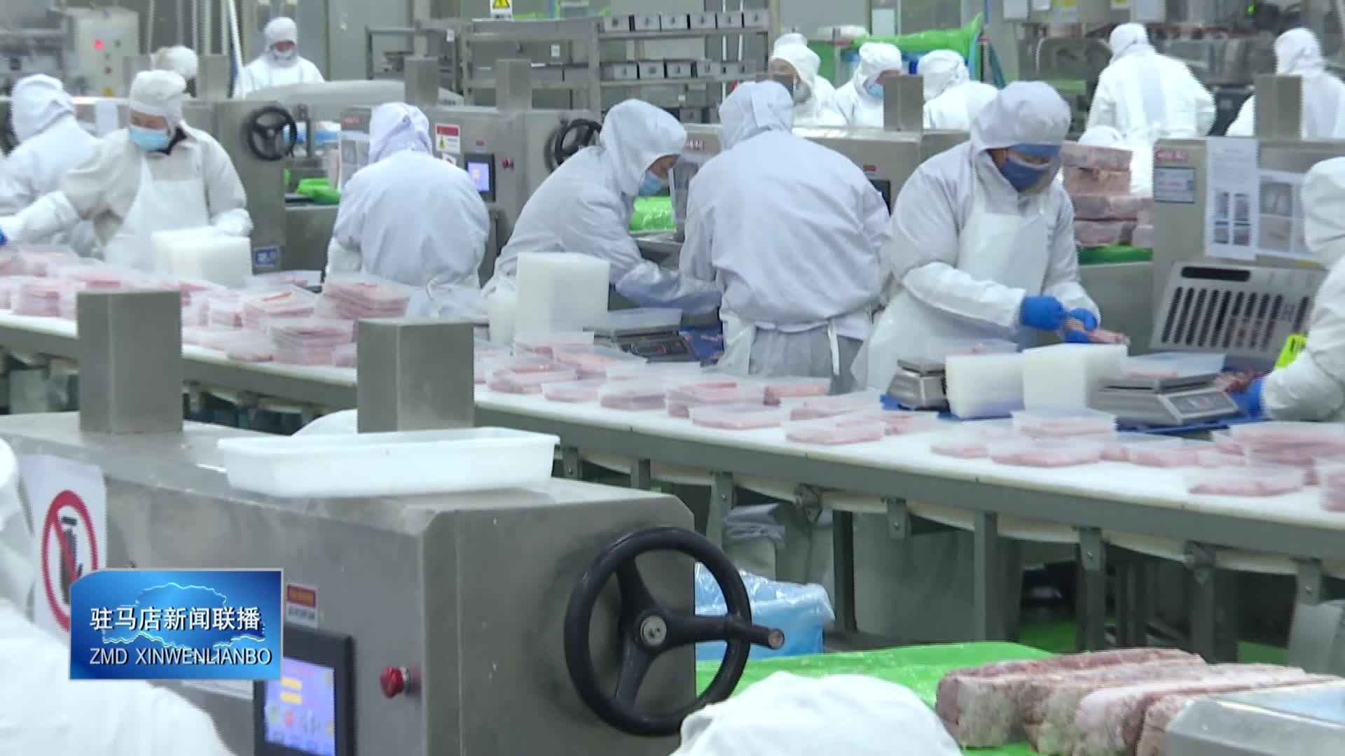 泌阳恒都食品：科技赋能推动产业高标准发展