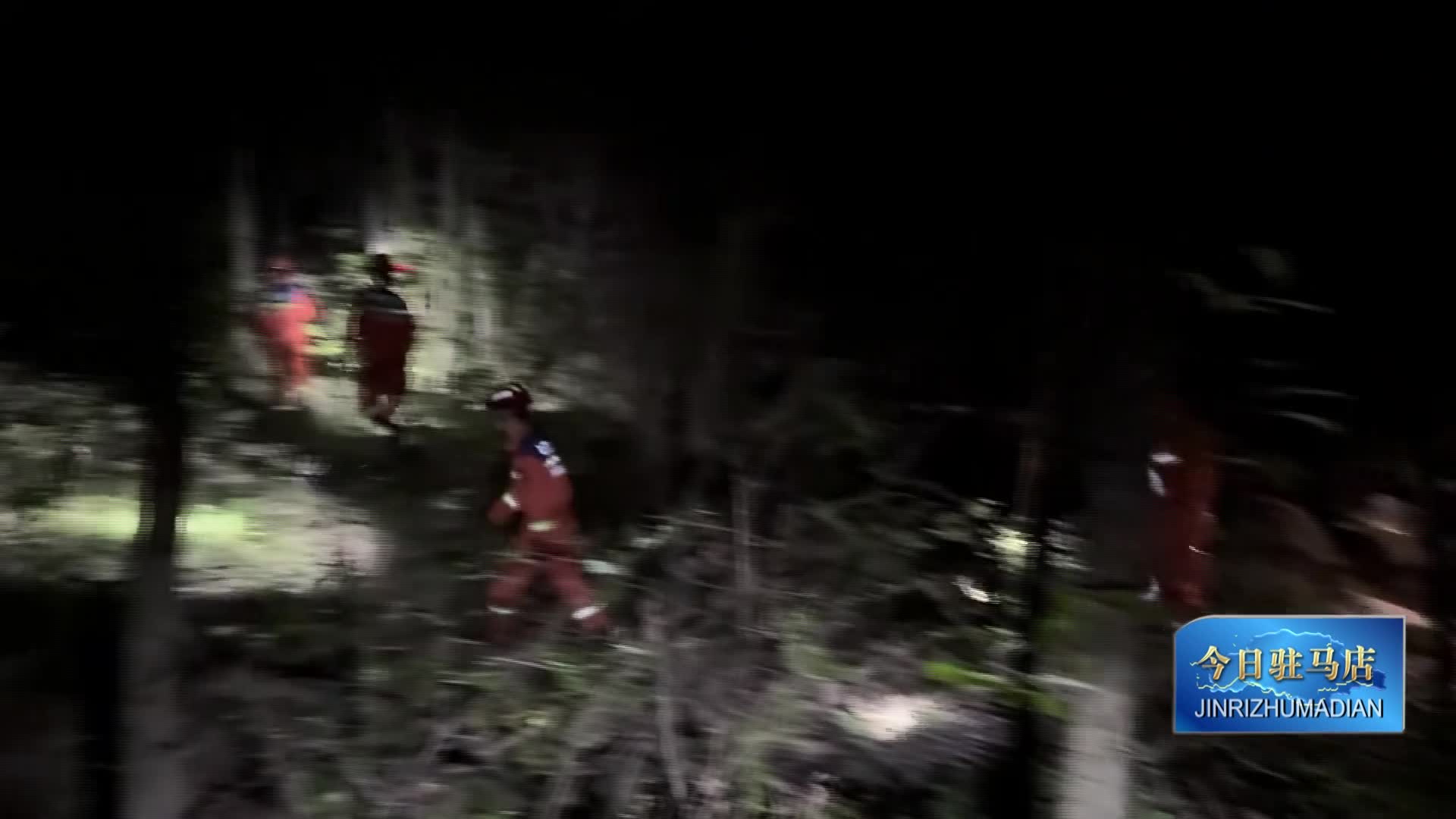 男子采灵芝迷失深山 泌阳消防成功营救