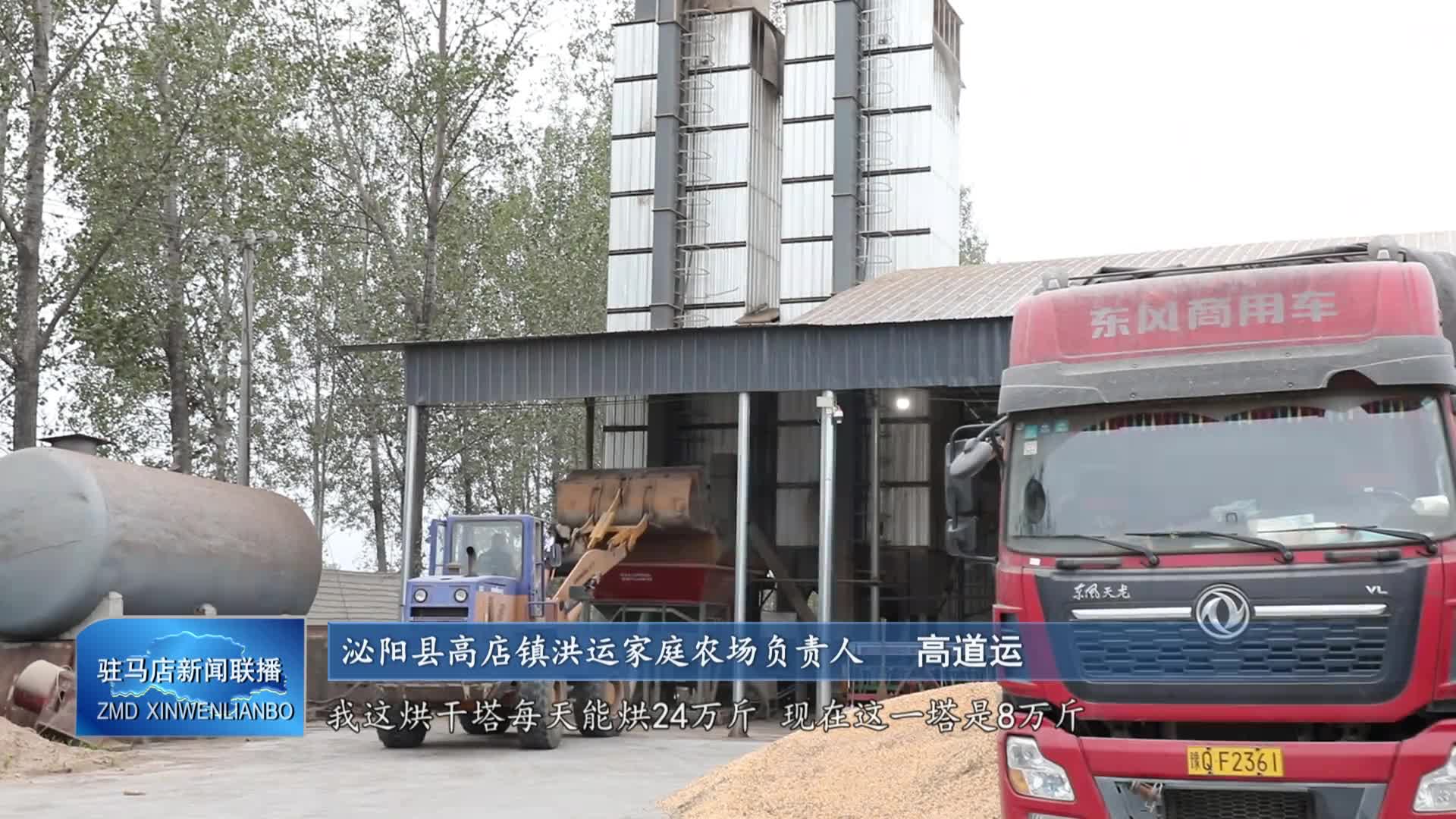 我市全力做好秋糧收購烘干工作 確保糧食顆粒歸倉