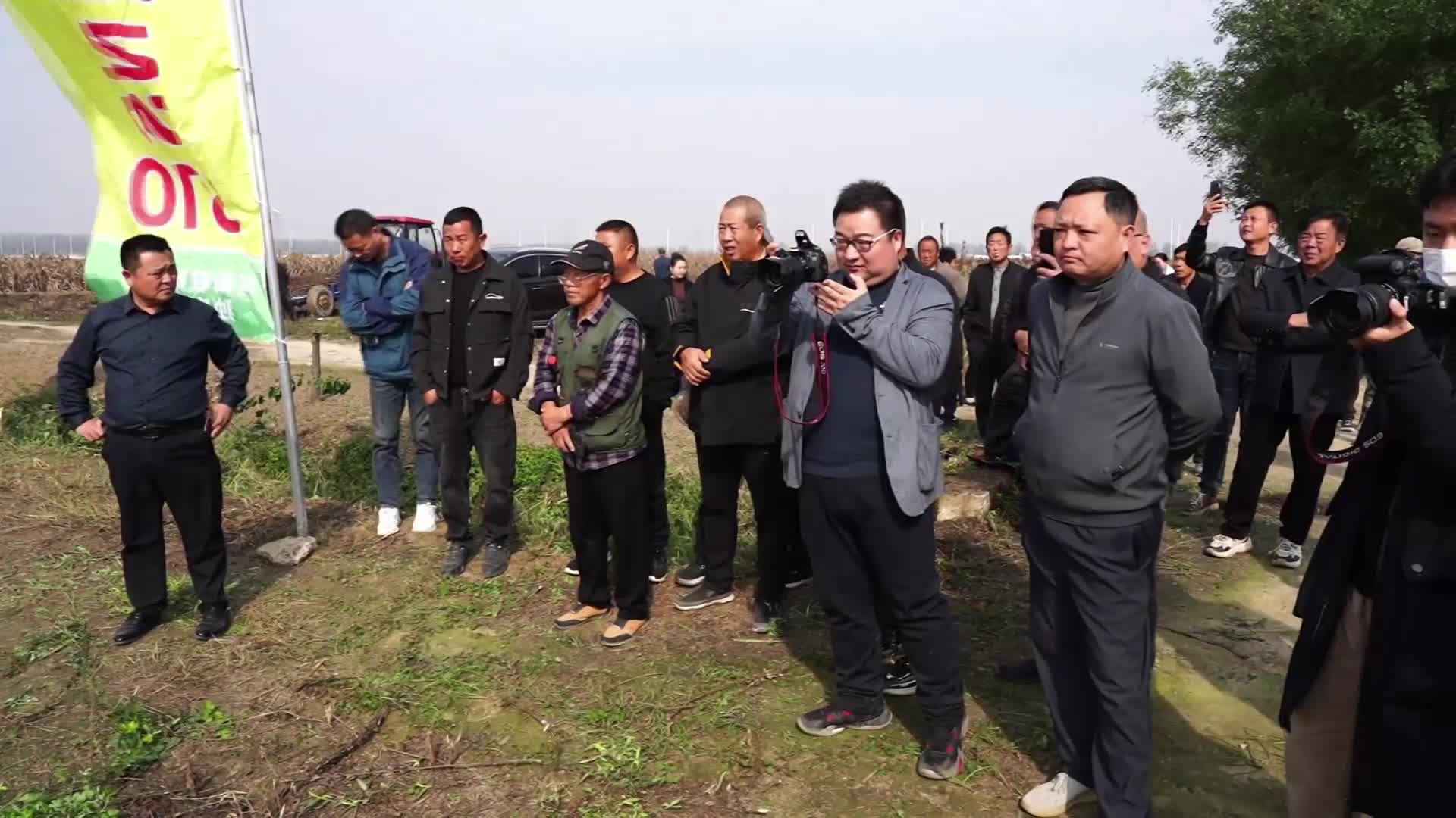 抗落粒宜机收芝麻豫芝NS610机收现场观摩会在我市召开